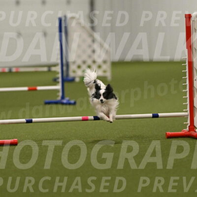 Dainty-Heather-Chambers-10947