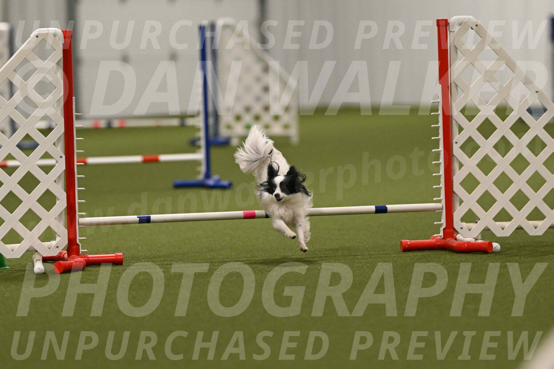 Dainty-Heather-Chambers-10948