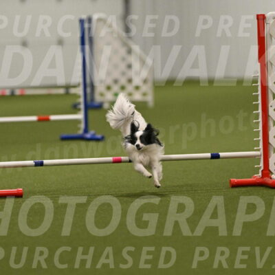 Dainty-Heather-Chambers-10948