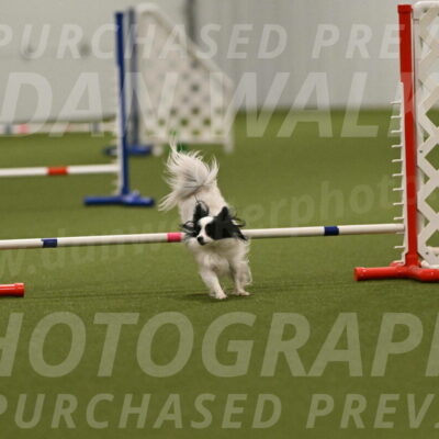 Dainty-Heather-Chambers-10949