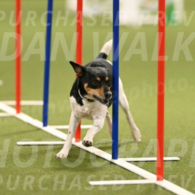 Denver-Sue-McGinty-01920