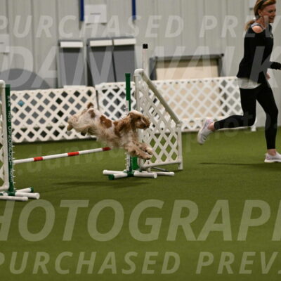 Destiny-April-Green-05623