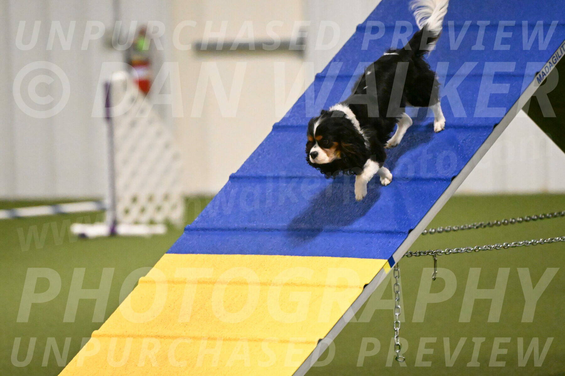 Disco-Lisa-Lombard-08447