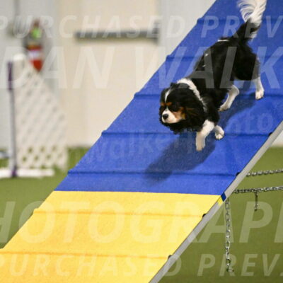 Disco-Lisa-Lombard-08447