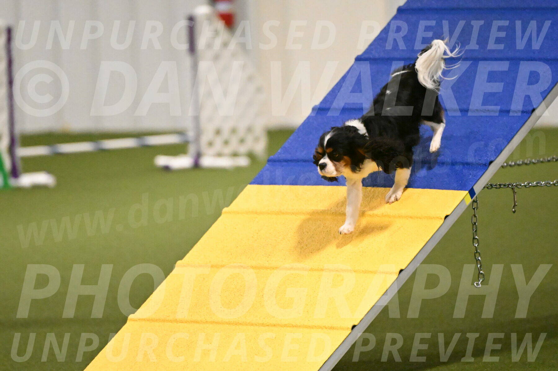 Disco-Lisa-Lombard-08448