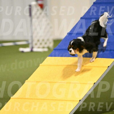 Disco-Lisa-Lombard-08448