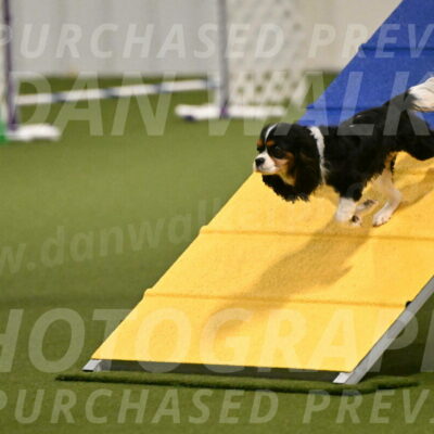 Disco-Lisa-Lombard-08449