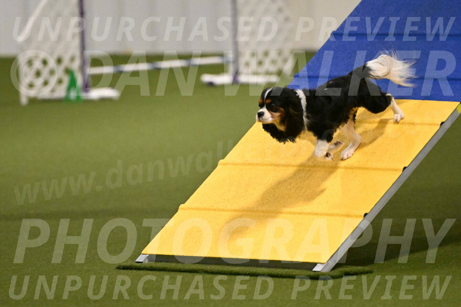 Disco-Lisa-Lombard-08449