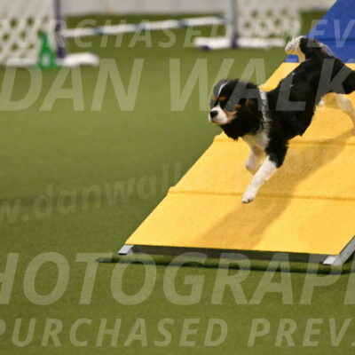 Disco-Lisa-Lombard-08450