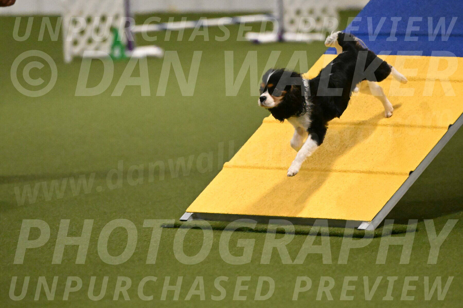 Disco-Lisa-Lombard-08450