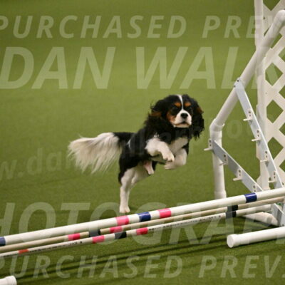 Disco-Lisa-Lombard-08451