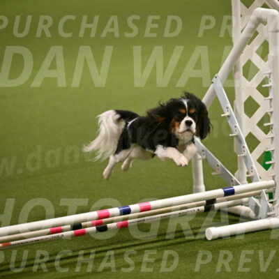 Disco-Lisa-Lombard-08452