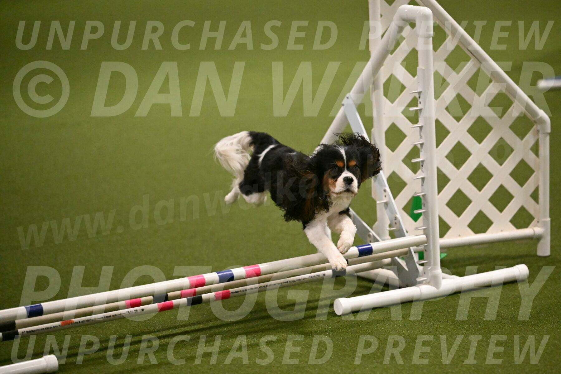 Disco-Lisa-Lombard-08453