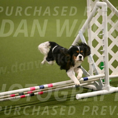 Disco-Lisa-Lombard-08453