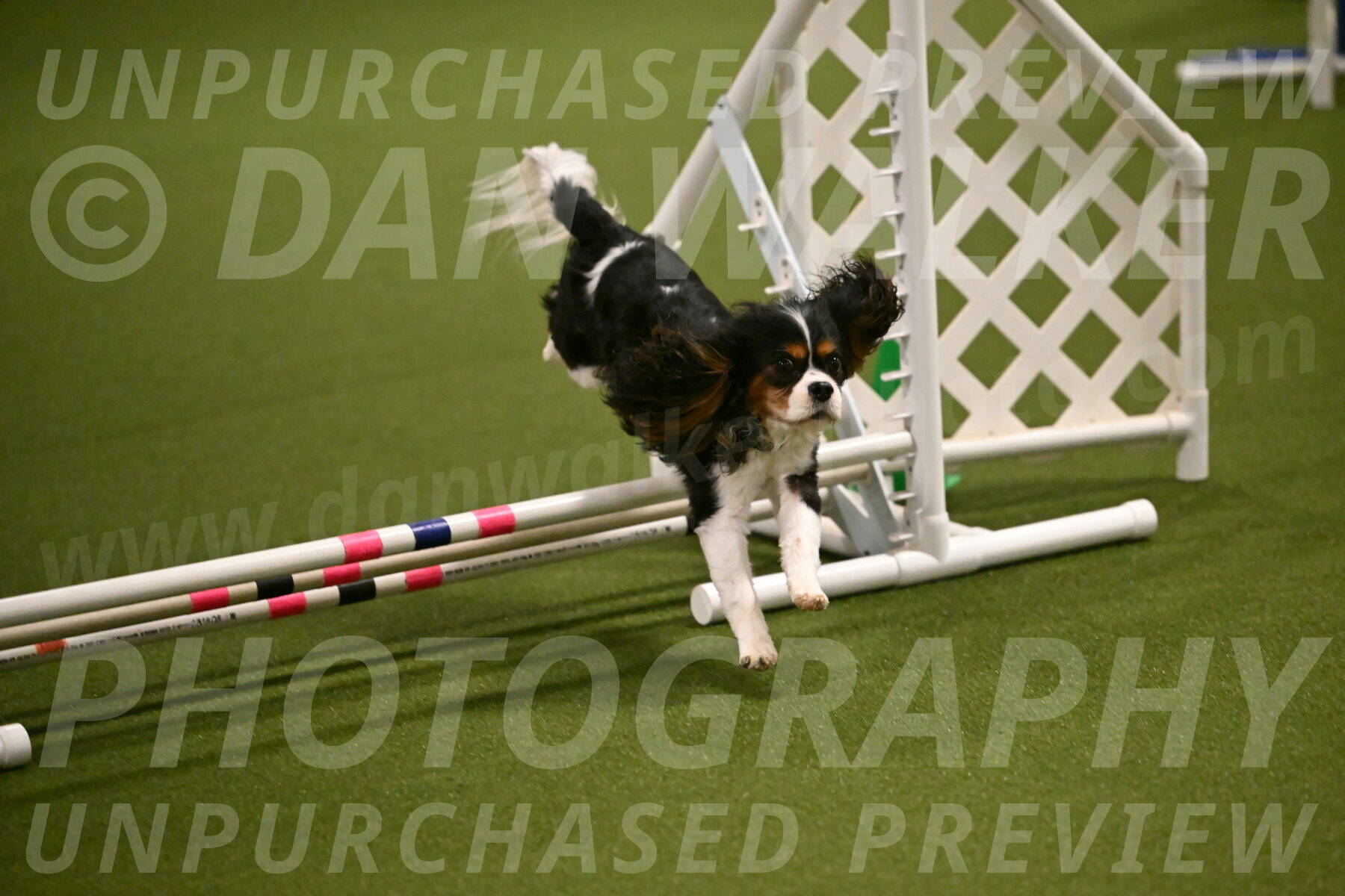 Disco-Lisa-Lombard-08454