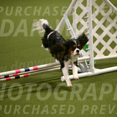 Disco-Lisa-Lombard-08454