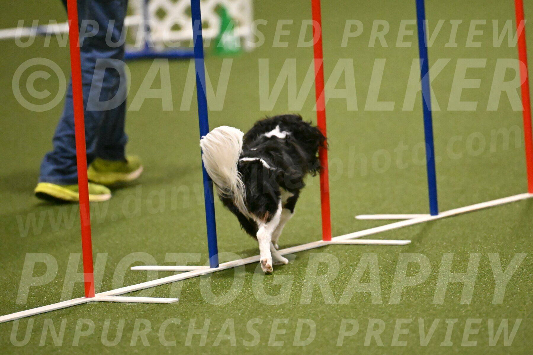 Disco-Lisa-Lombard-08455