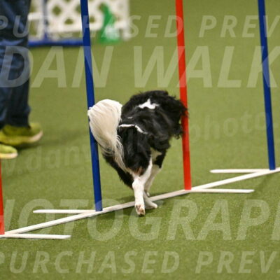 Disco-Lisa-Lombard-08455