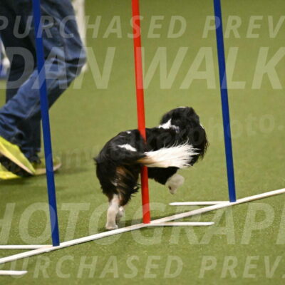 Disco-Lisa-Lombard-08456