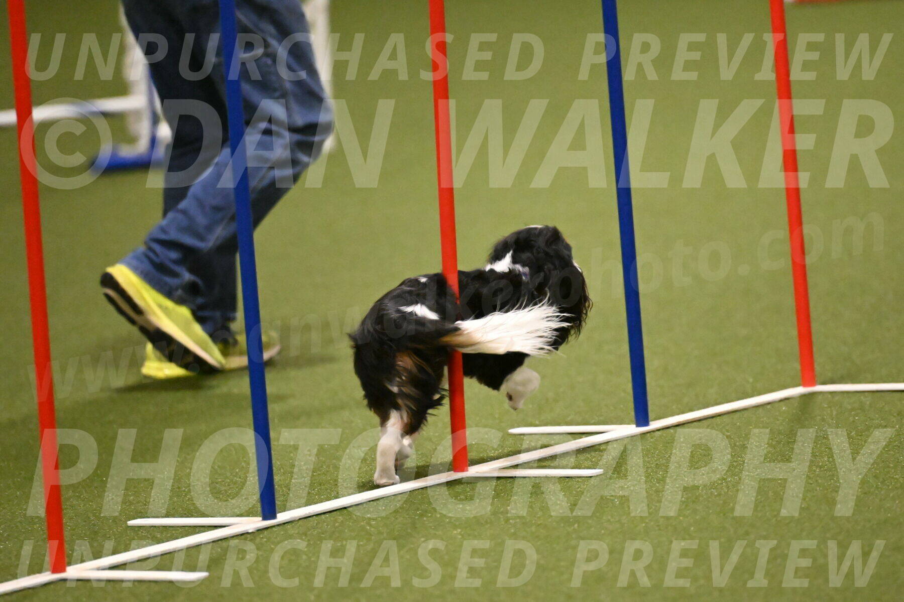 Disco-Lisa-Lombard-08456