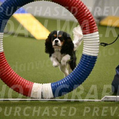 Disco-Lisa-Lombard-08457