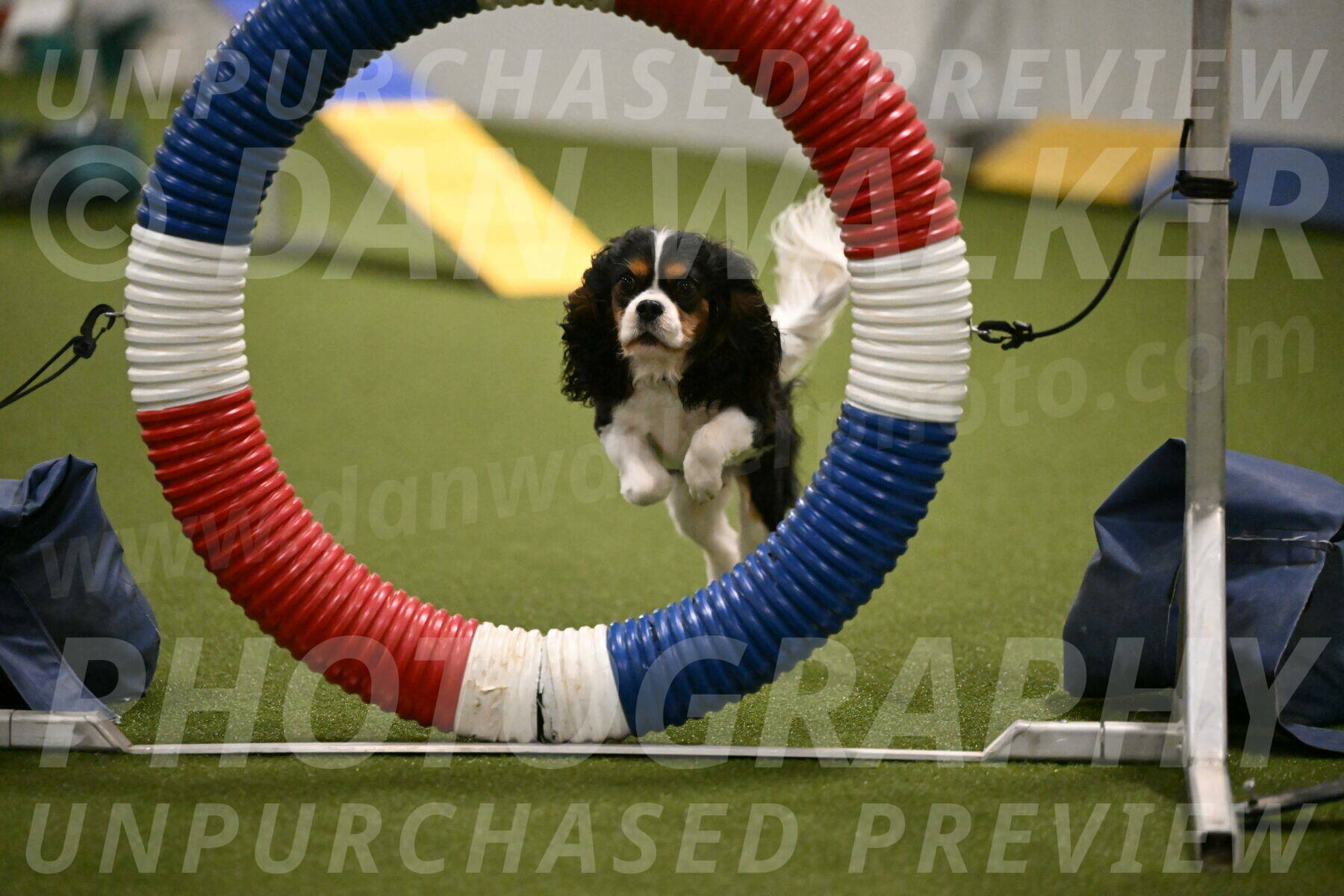 Disco-Lisa-Lombard-08457