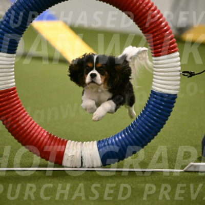 Disco-Lisa-Lombard-08458