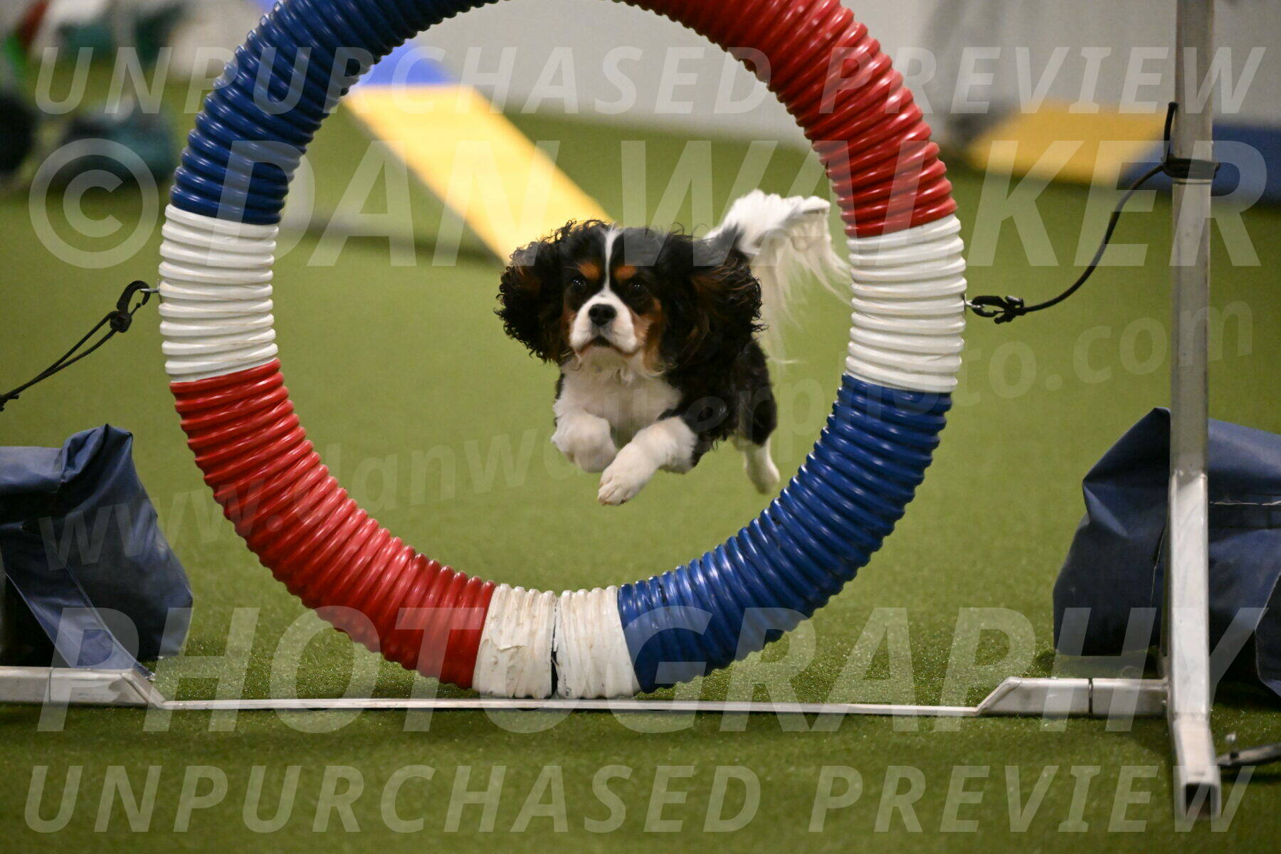 Disco-Lisa-Lombard-08458