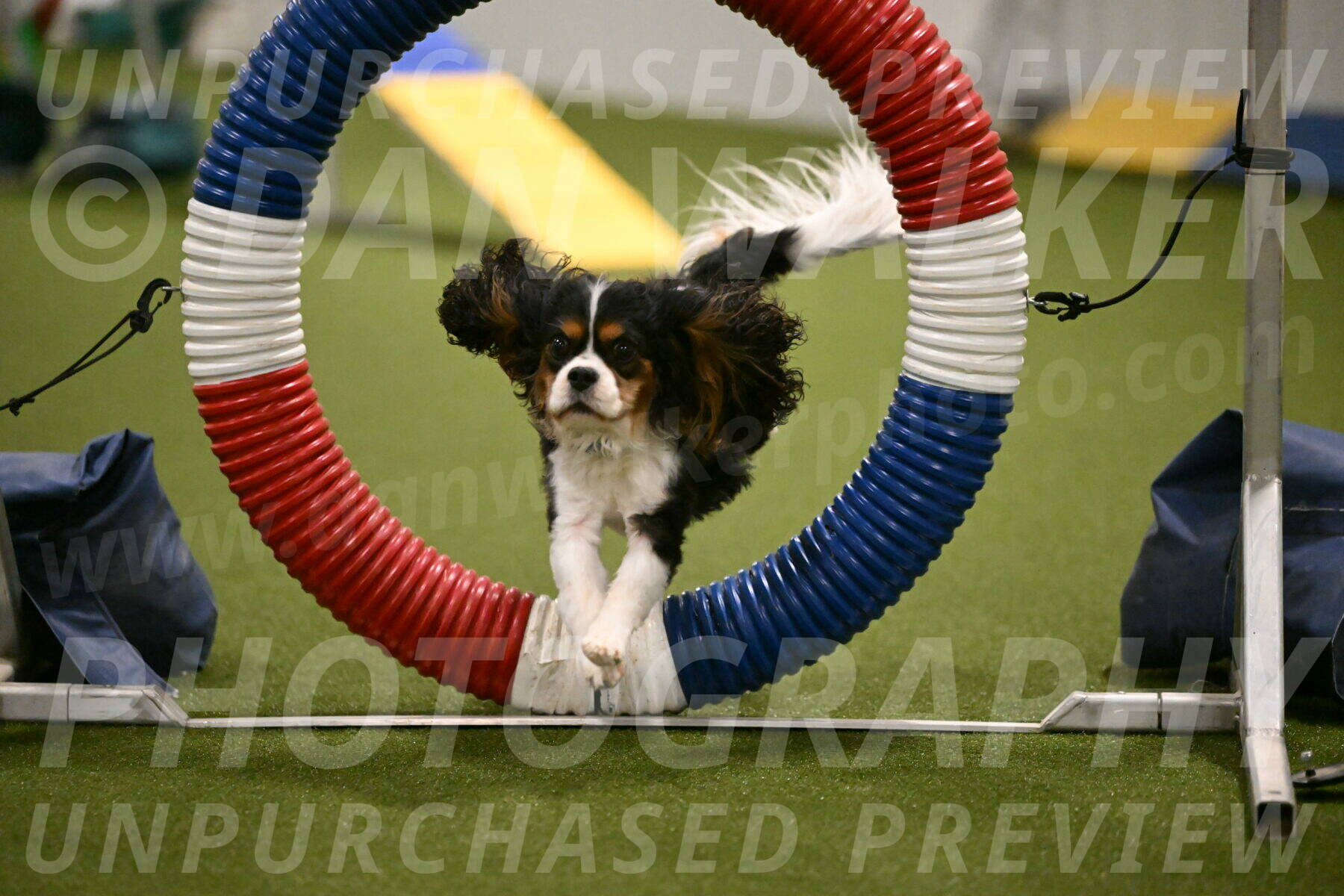 Disco-Lisa-Lombard-08459