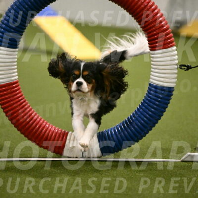 Disco-Lisa-Lombard-08459