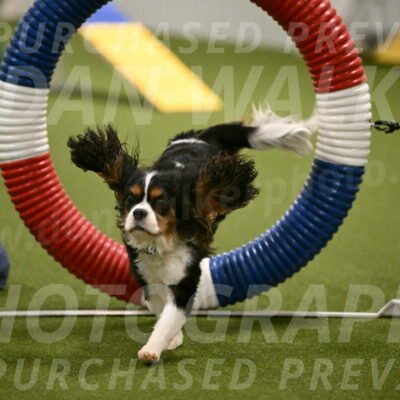 Disco-Lisa-Lombard-08460