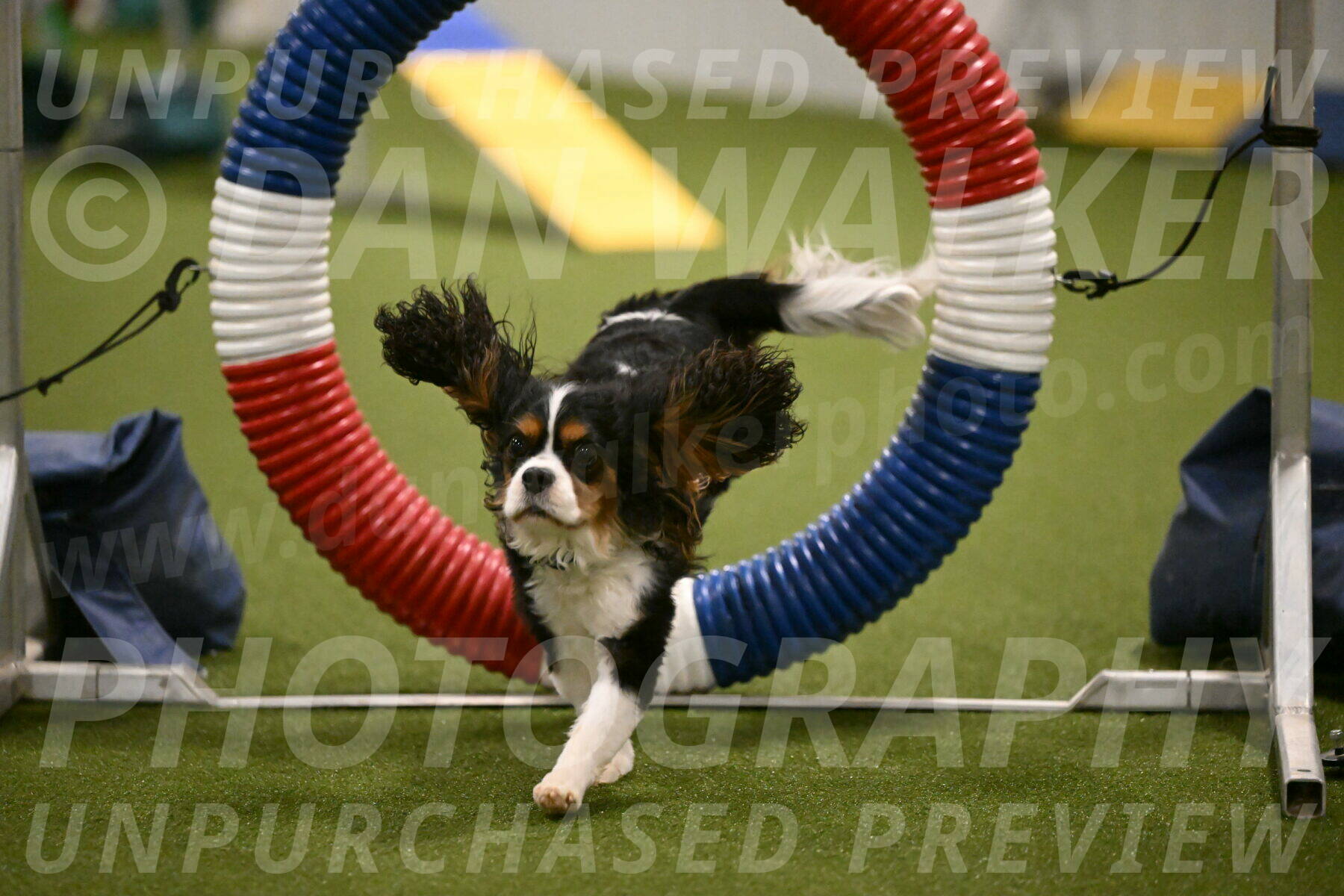 Disco-Lisa-Lombard-08460