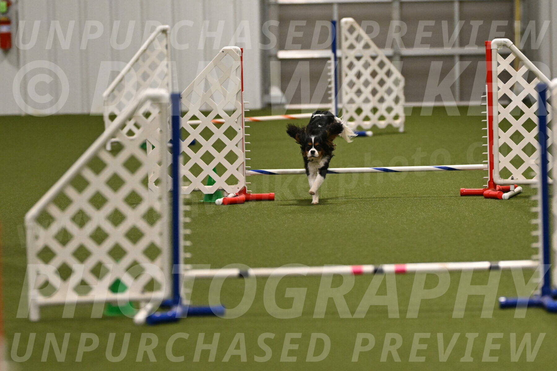 Disco-Lisa-Lombard-08461