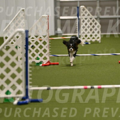 Disco-Lisa-Lombard-08461