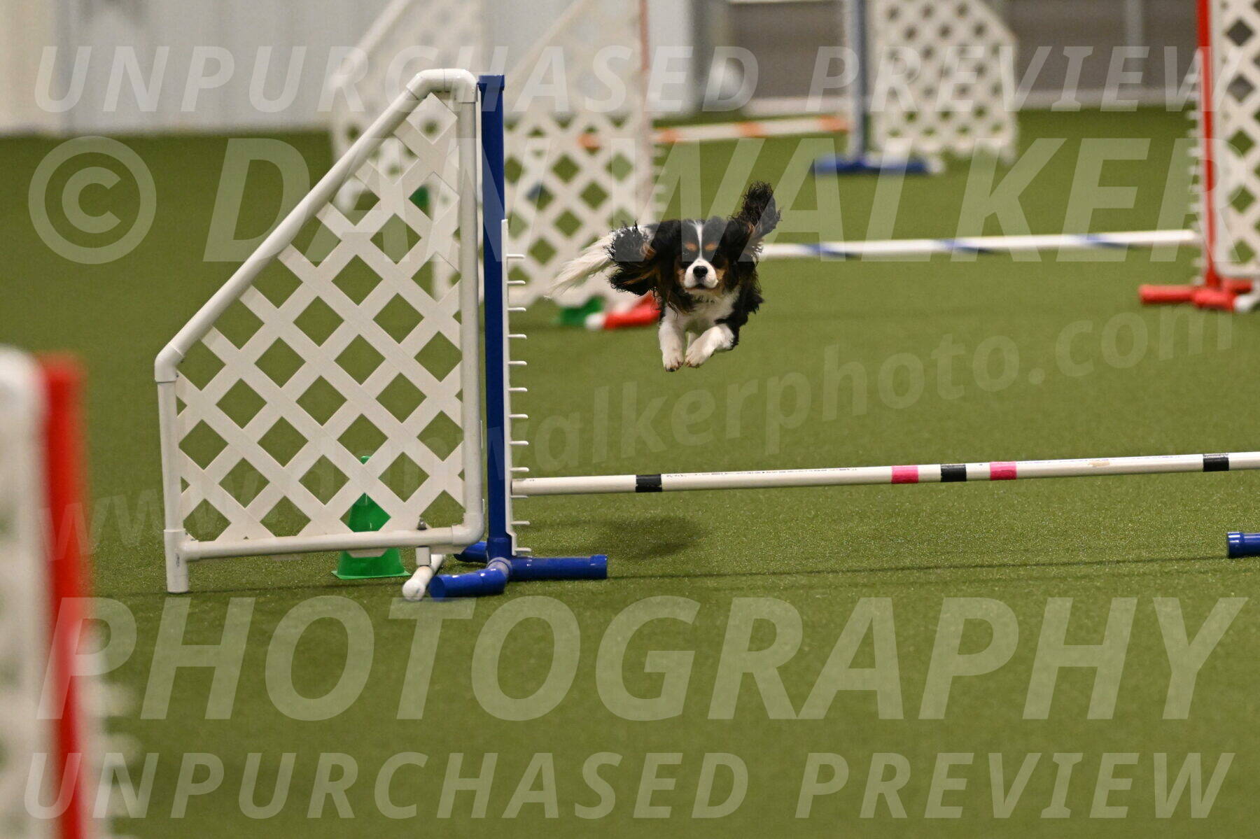 Disco-Lisa-Lombard-08462