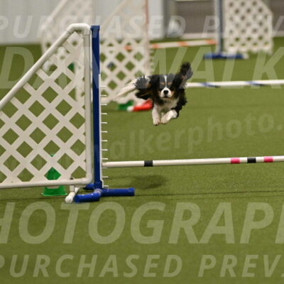 Disco-Lisa-Lombard-08462