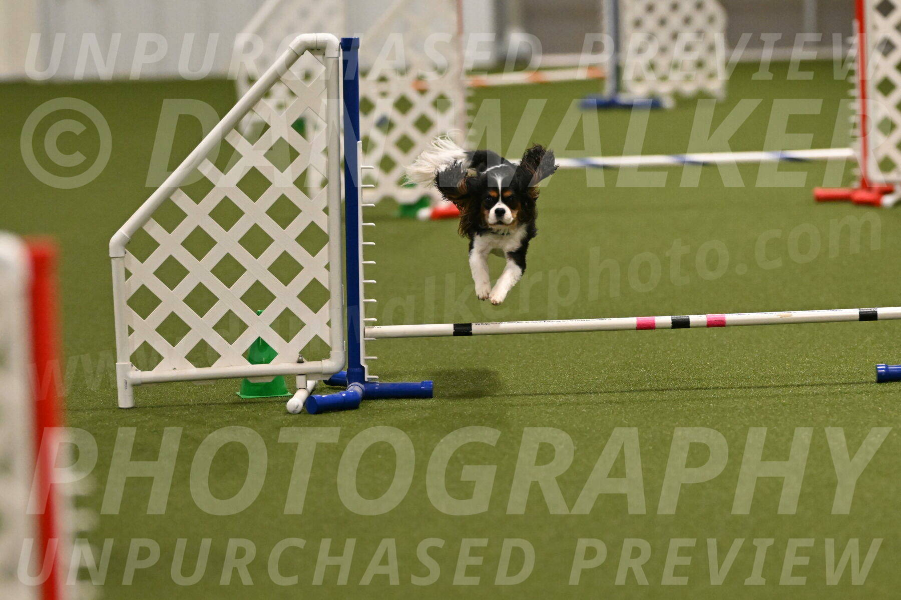 Disco-Lisa-Lombard-08463