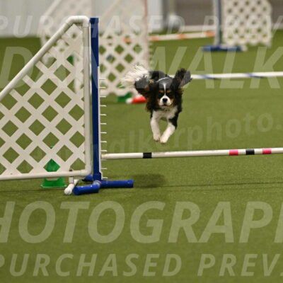 Disco-Lisa-Lombard-08463