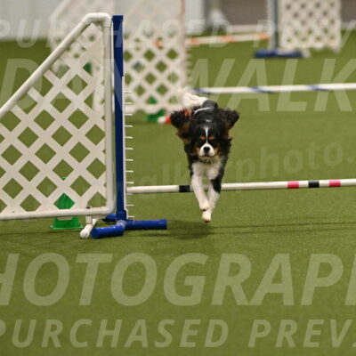 Disco-Lisa-Lombard-08464