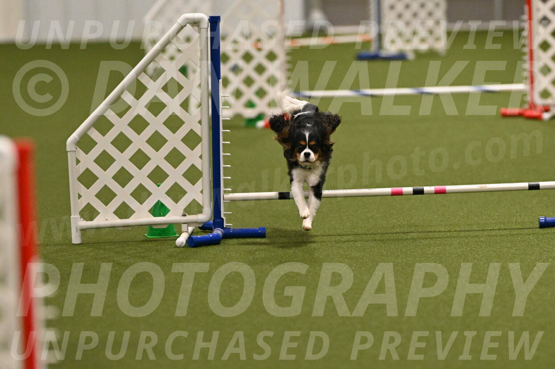 Disco-Lisa-Lombard-08464