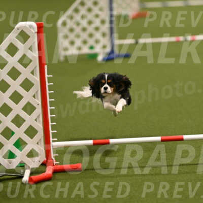 Disco-Lisa-Lombard-08465