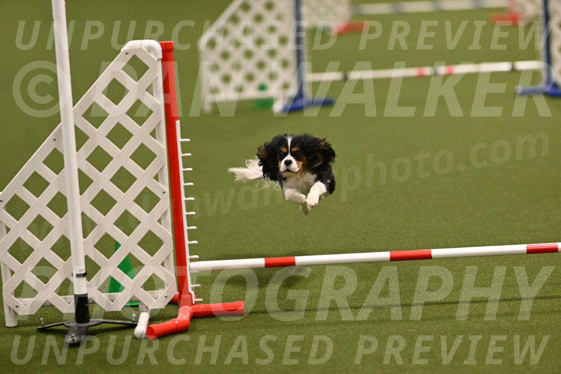 Disco-Lisa-Lombard-08465