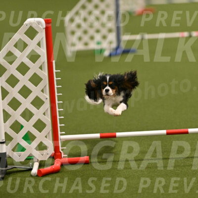 Disco-Lisa-Lombard-08466