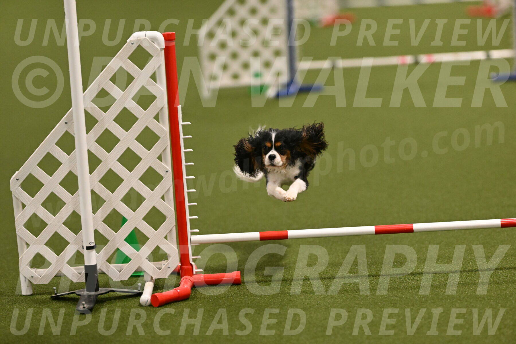 Disco-Lisa-Lombard-08466