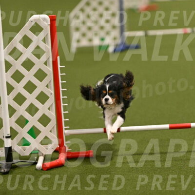 Disco-Lisa-Lombard-08467