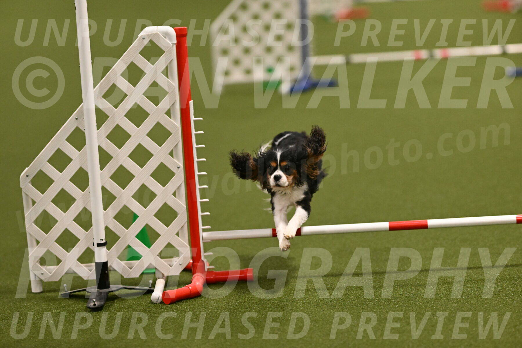 Disco-Lisa-Lombard-08467