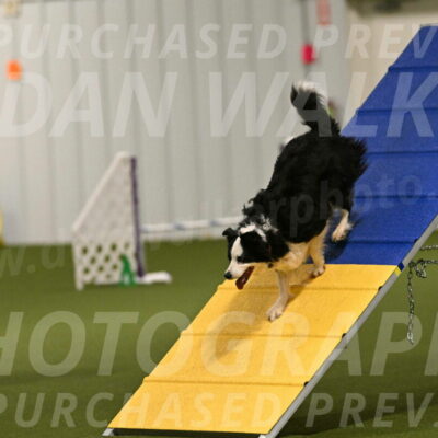 Dolly-Barbara-Thomas-09812