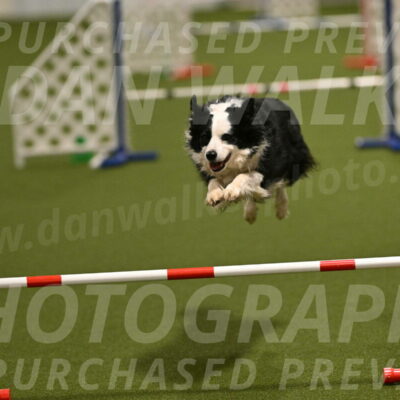 Dolly-Barbara-Thomas-09837