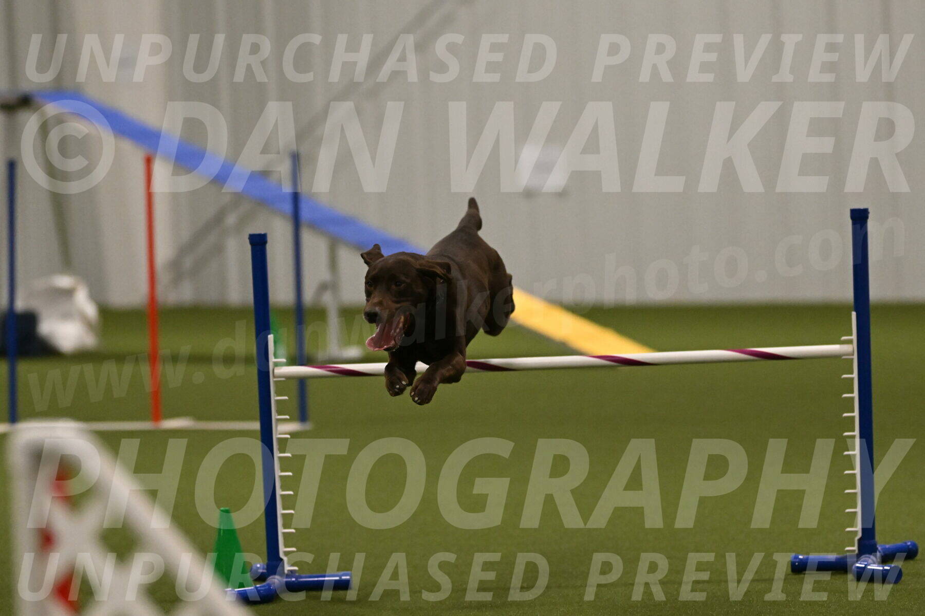 Doppler-Christie-Black-04839