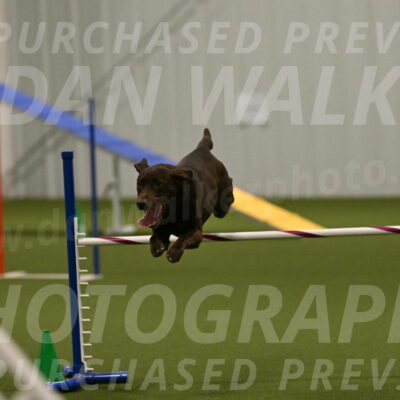 Doppler-Christie-Black-04839